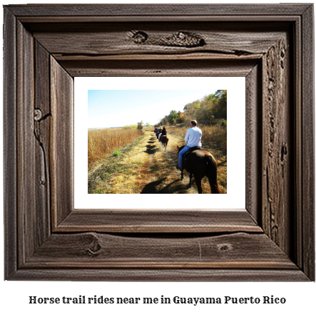 horse trail rides near me in Guayama, Puerto Rico